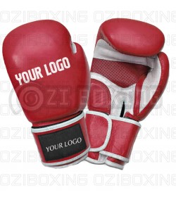 Top Ten Model Boxing Gloves